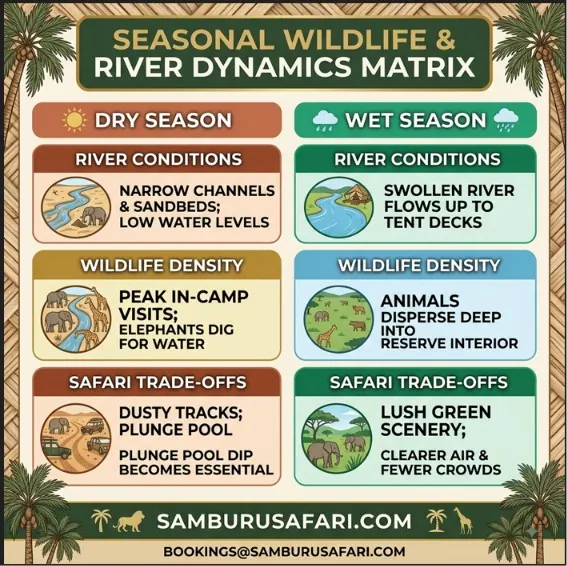 A comparison chart showing wildlife density, river conditions, and safari experience in dry vs wet seasons.